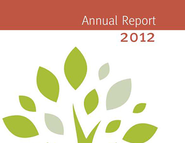 Annuarl Reports Designing